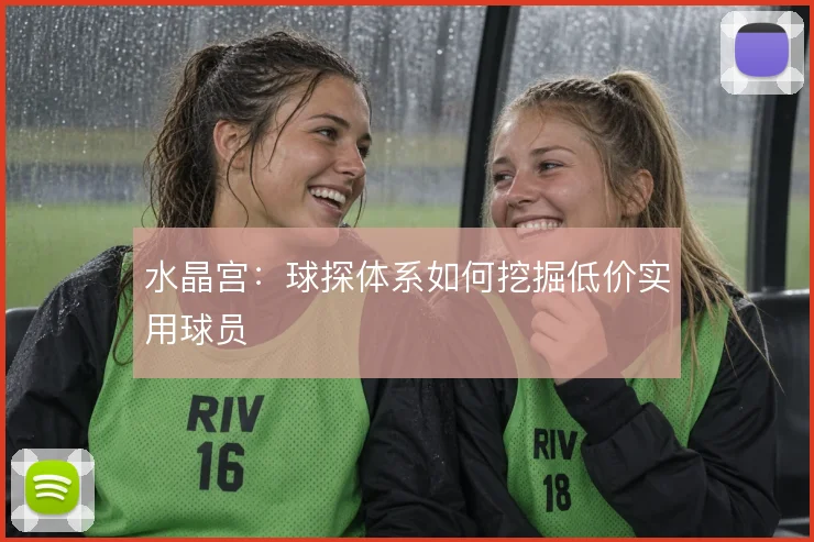 水晶宫：球探体系如何挖掘低价实用球员