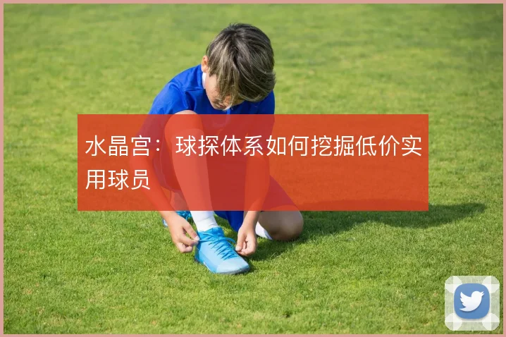 水晶宫：球探体系如何挖掘低价实用球员